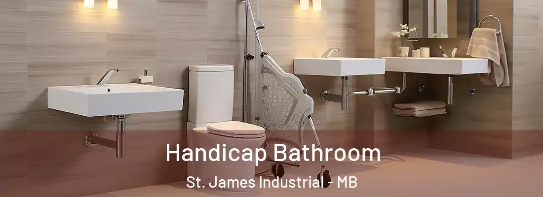  Handicap Bathroom St. James Industrial - MB