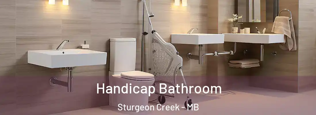  Handicap Bathroom Sturgeon Creek - MB