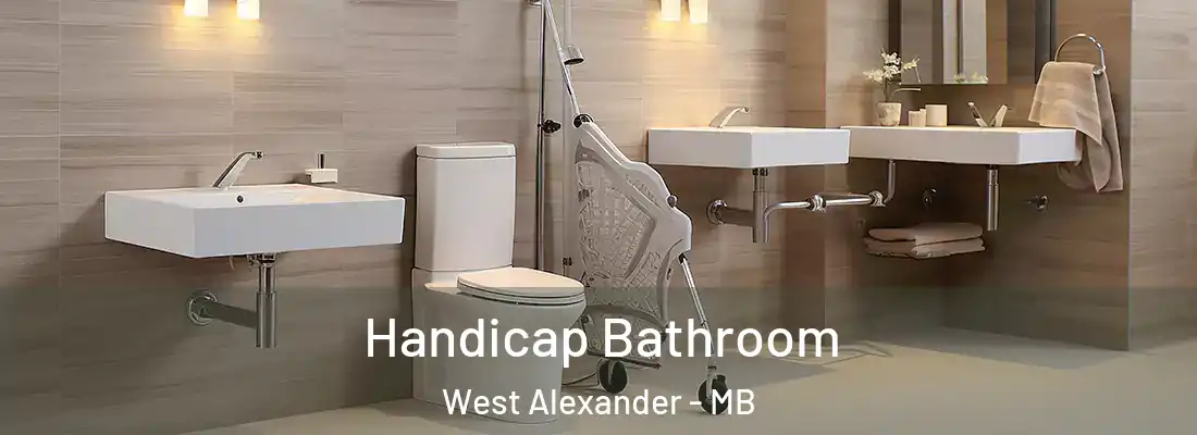  Handicap Bathroom West Alexander - MB