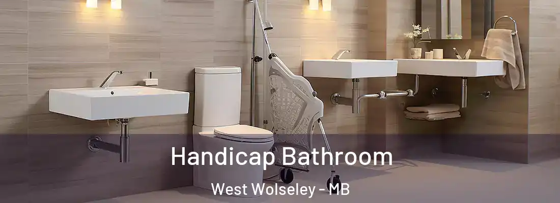  Handicap Bathroom West Wolseley - MB