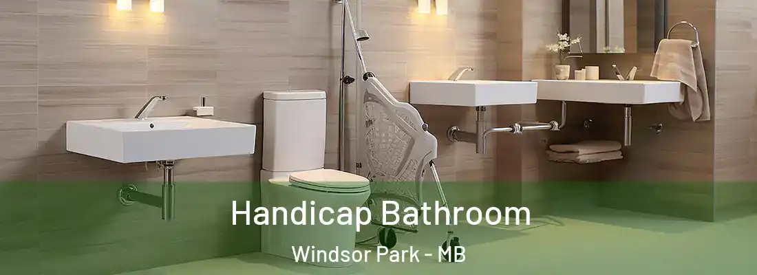  Handicap Bathroom Windsor Park - MB