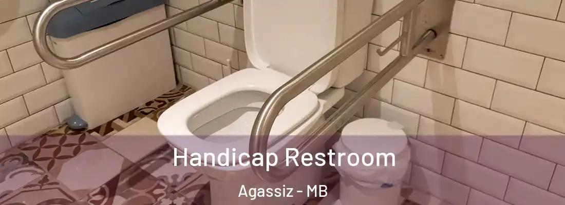  Handicap Restroom Agassiz - MB