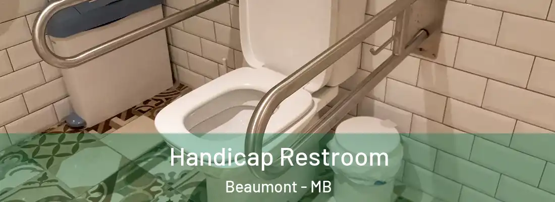  Handicap Restroom Beaumont - MB