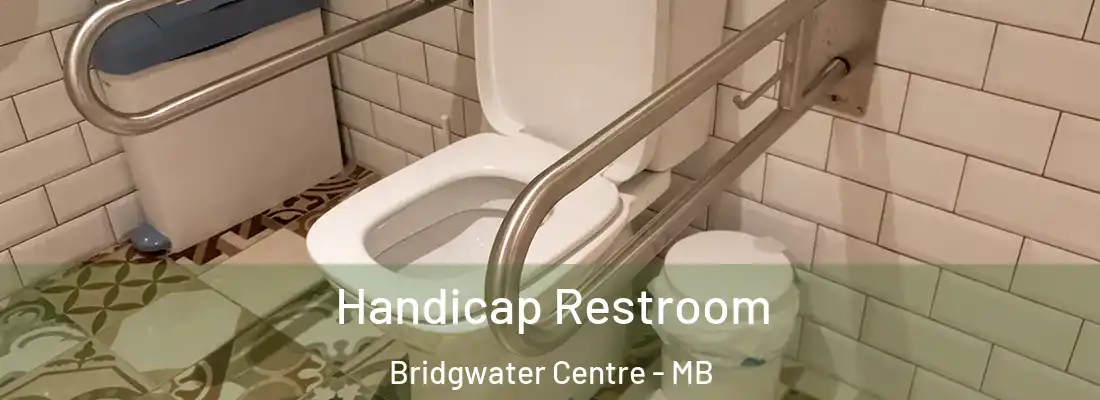  Handicap Restroom Bridgwater Centre - MB