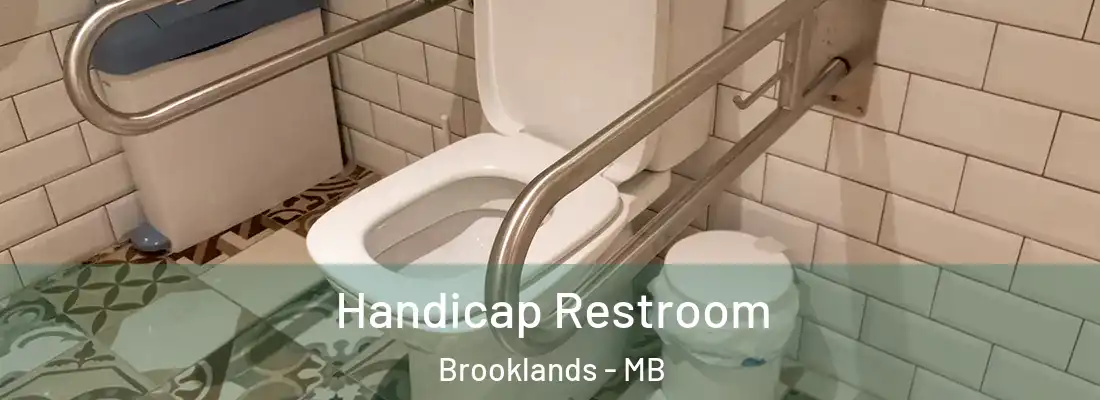  Handicap Restroom Brooklands - MB