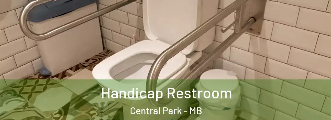  Handicap Restroom Central Park - MB