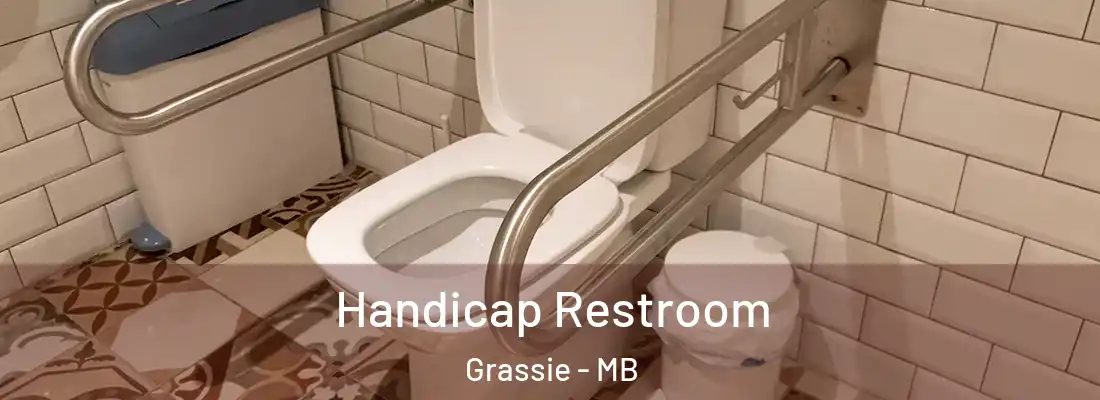  Handicap Restroom Grassie - MB