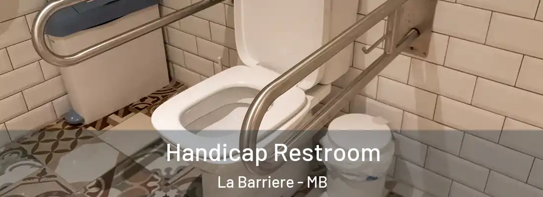  Handicap Restroom La Barriere - MB