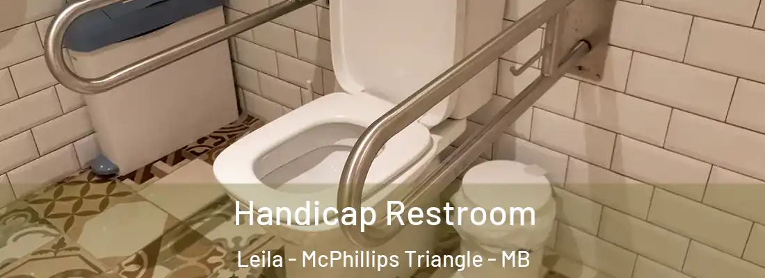  Handicap Restroom Leila - McPhillips Triangle - MB