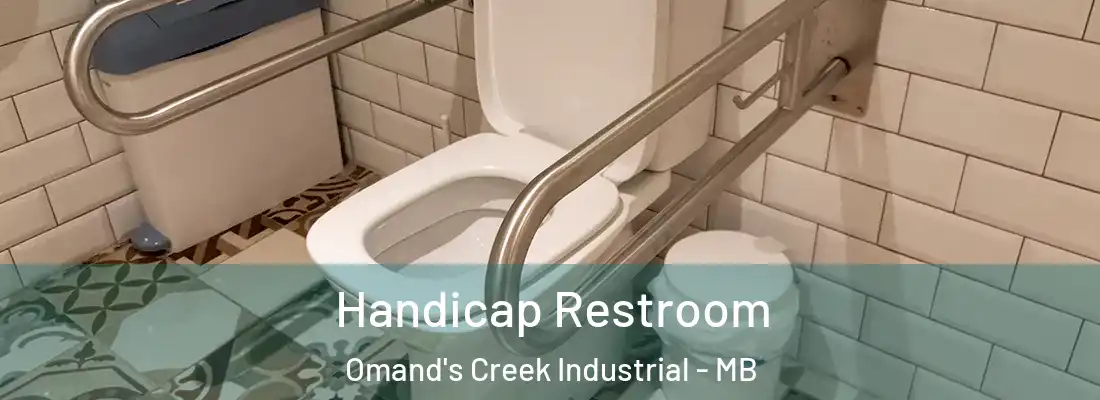  Handicap Restroom Omand's Creek Industrial - MB