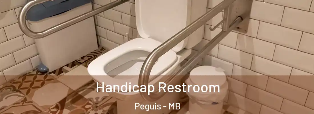 Handicap Restroom Peguis - MB
