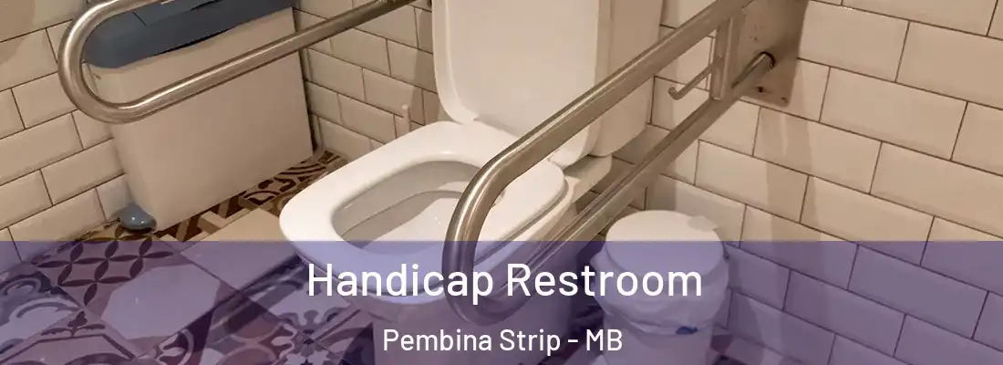  Handicap Restroom Pembina Strip - MB