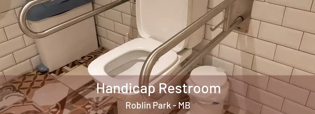  Handicap Restroom Roblin Park - MB