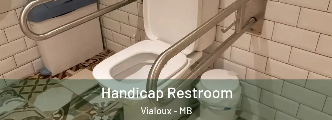  Handicap Restroom Vialoux - MB