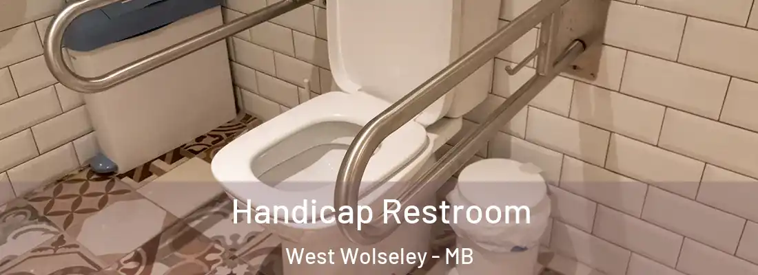  Handicap Restroom West Wolseley - MB