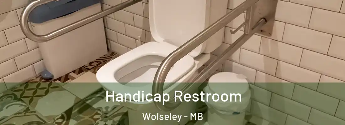  Handicap Restroom Wolseley - MB