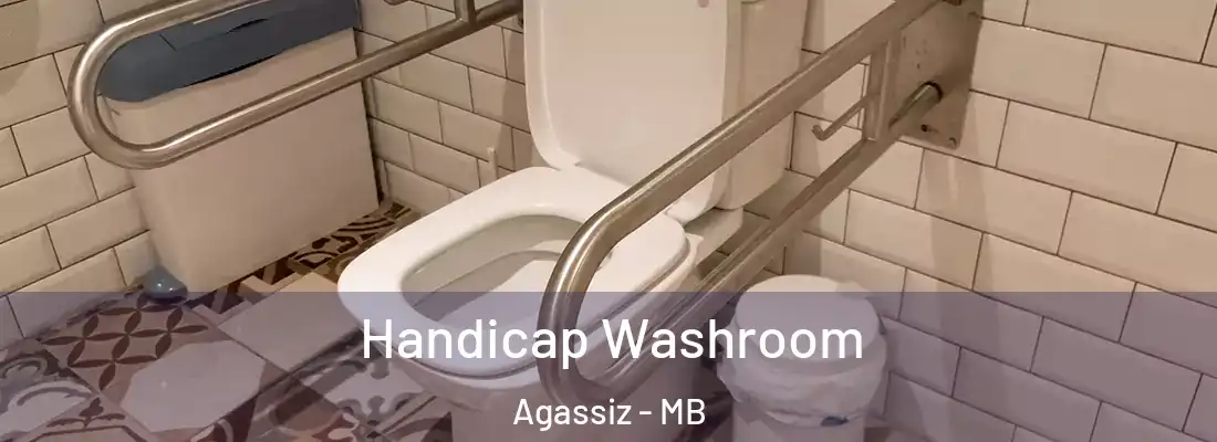  Handicap Washroom Agassiz - MB