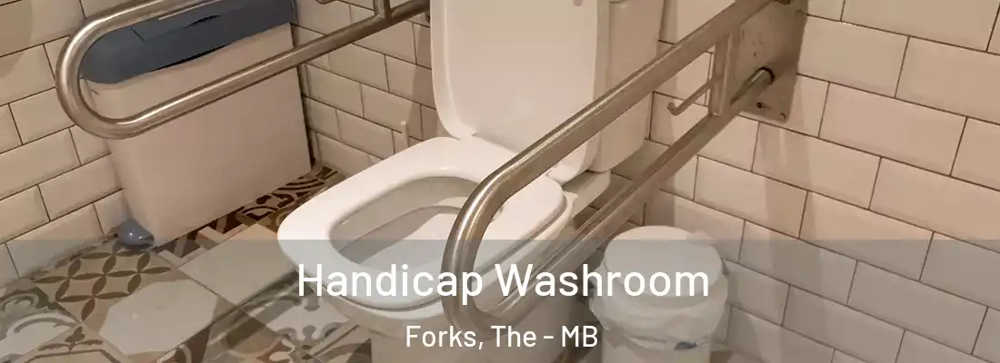  Handicap Washroom Forks, The - MB