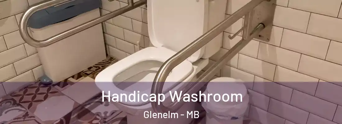  Handicap Washroom Glenelm - MB