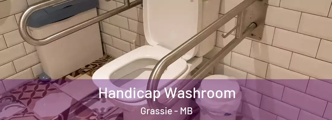 Handicap Washroom Grassie - MB