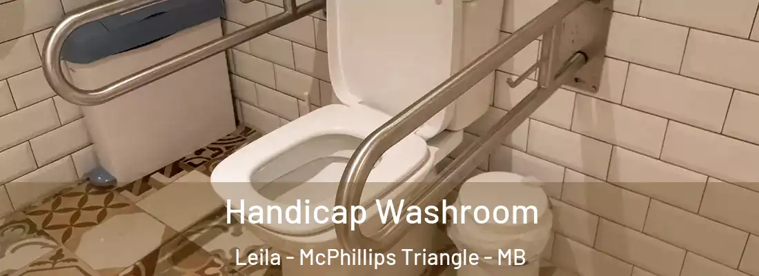  Handicap Washroom Leila - McPhillips Triangle - MB