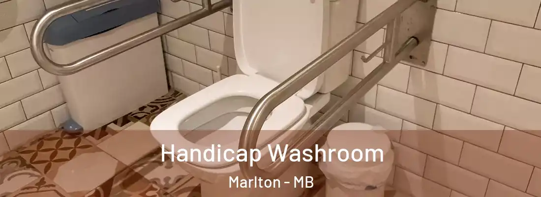  Handicap Washroom Marlton - MB