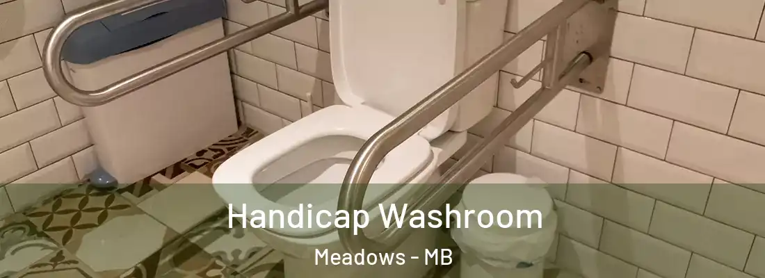  Handicap Washroom Meadows - MB