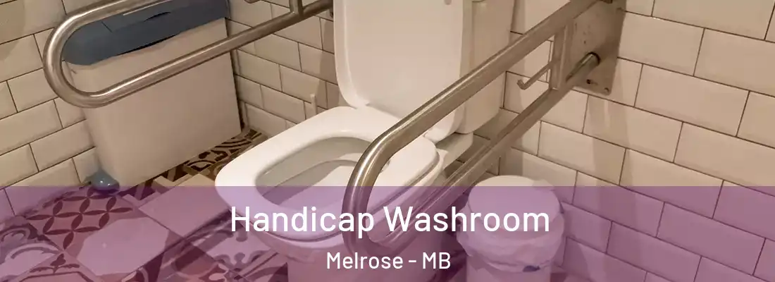  Handicap Washroom Melrose - MB