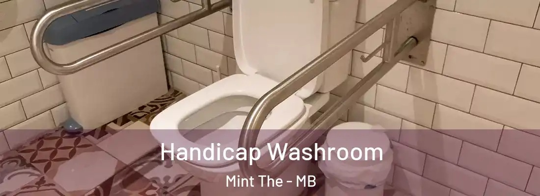  Handicap Washroom Mint The - MB
