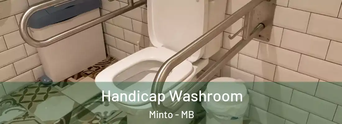  Handicap Washroom Minto - MB