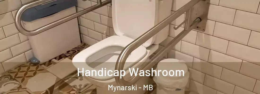  Handicap Washroom Mynarski - MB