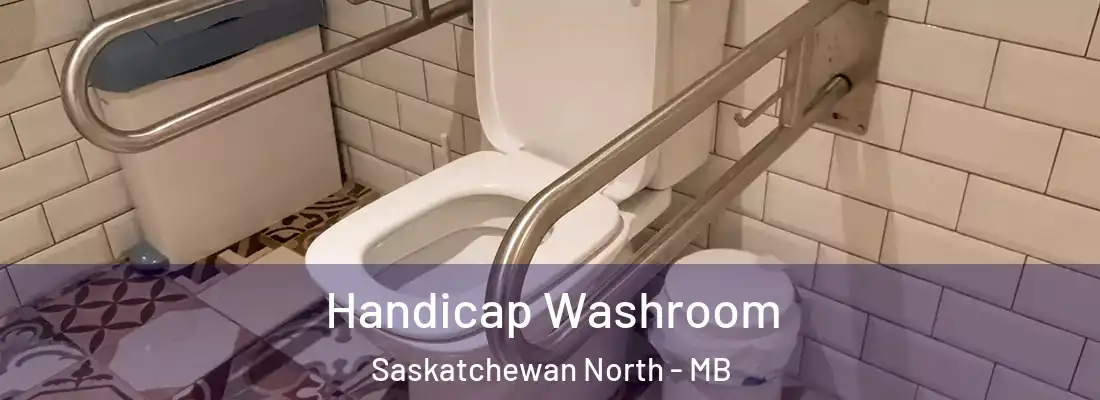  Handicap Washroom Saskatchewan North - MB