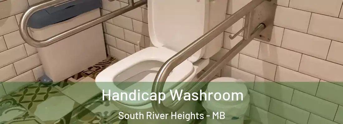  Handicap Washroom South River Heights - MB