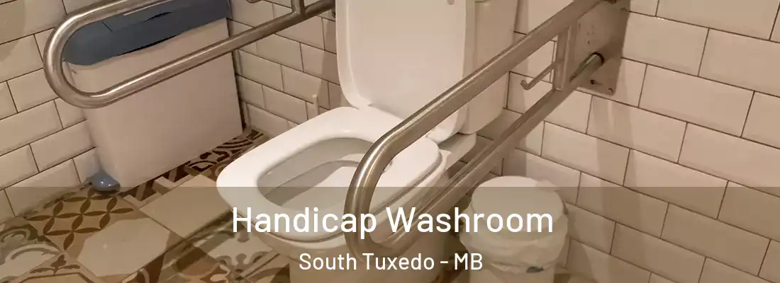 Handicap Washroom South Tuxedo - MB
