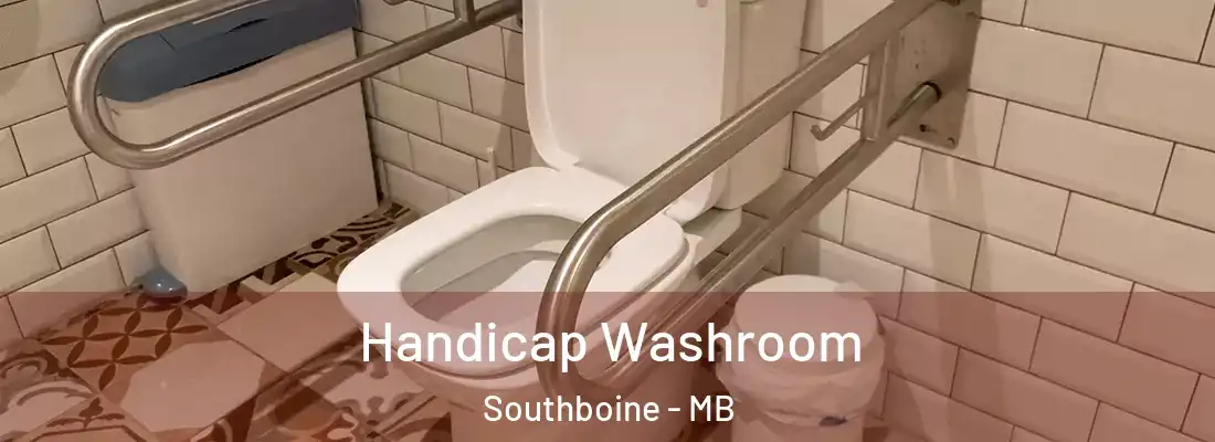  Handicap Washroom Southboine - MB
