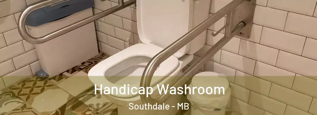  Handicap Washroom Southdale - MB