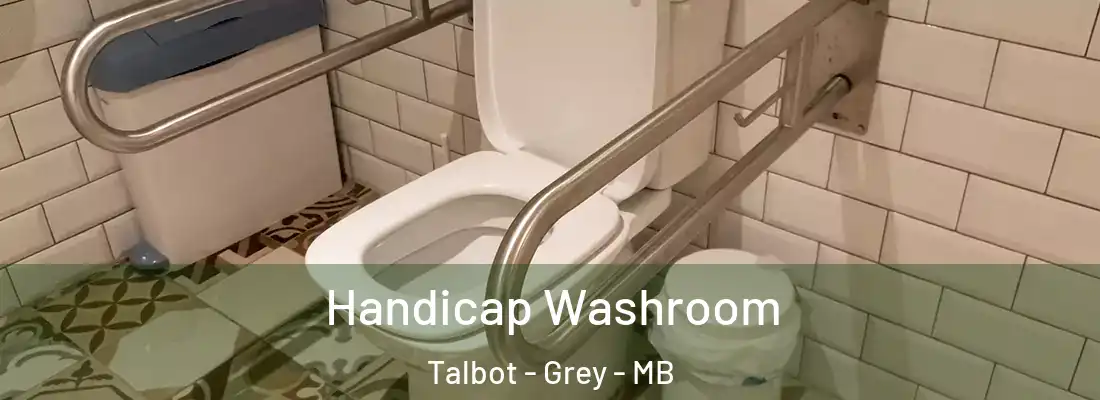  Handicap Washroom Talbot - Grey - MB