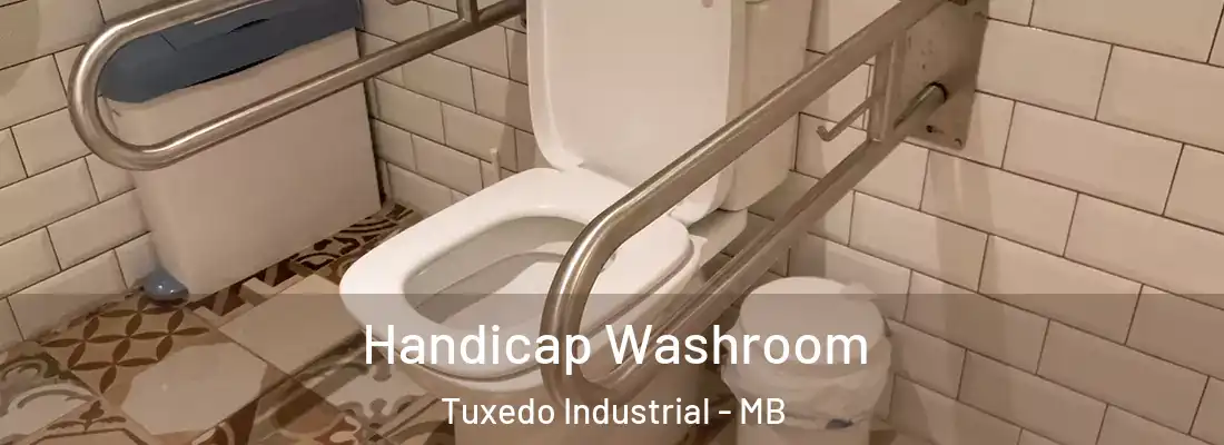 Handicap Washroom Tuxedo Industrial - MB