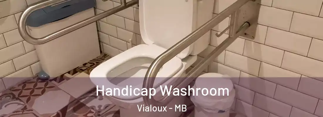  Handicap Washroom Vialoux - MB