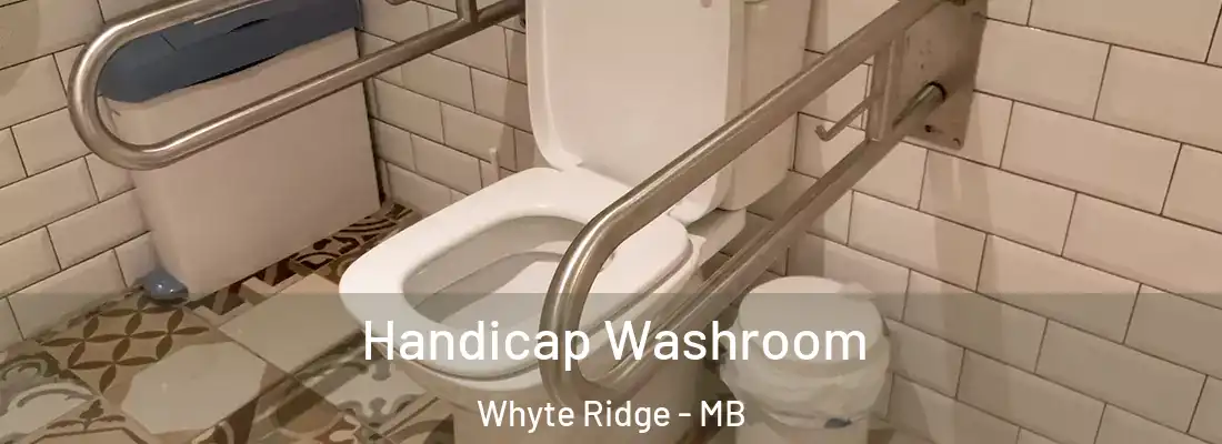  Handicap Washroom Whyte Ridge - MB