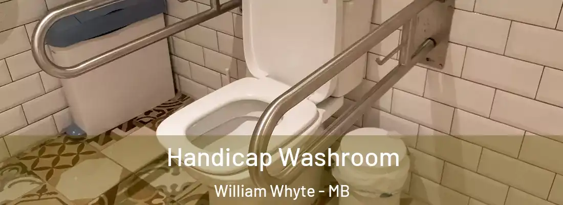  Handicap Washroom William Whyte - MB