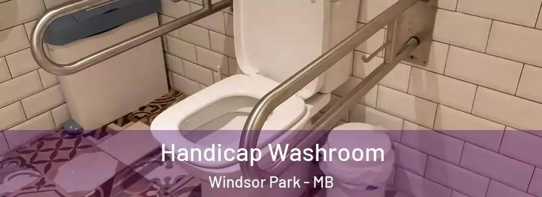  Handicap Washroom Windsor Park - MB