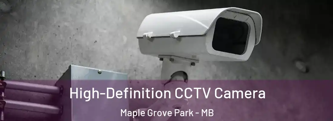  High-Definition CCTV Camera Maple Grove Park - MB