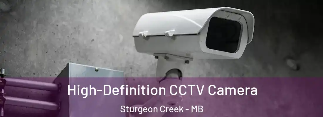  High-Definition CCTV Camera Sturgeon Creek - MB