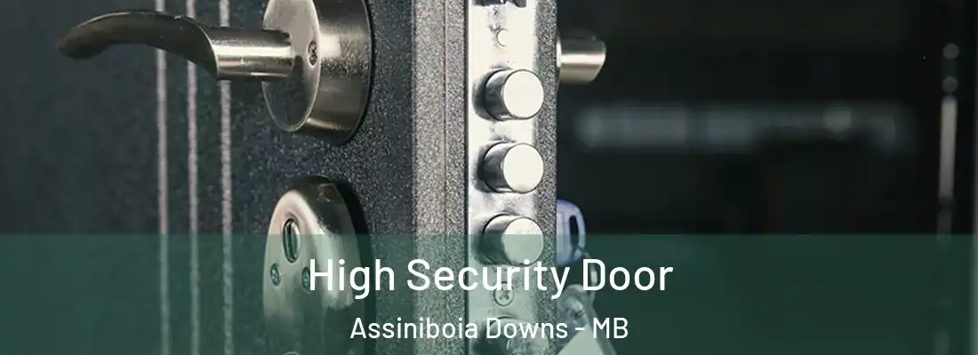  High Security Door Assiniboia Downs - MB