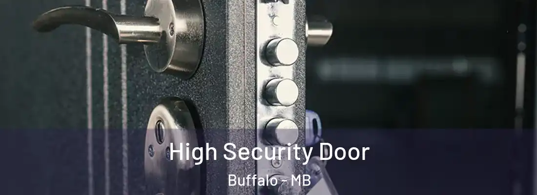  High Security Door Buffalo - MB