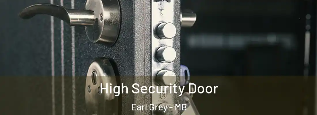 High Security Door Earl Grey - MB
