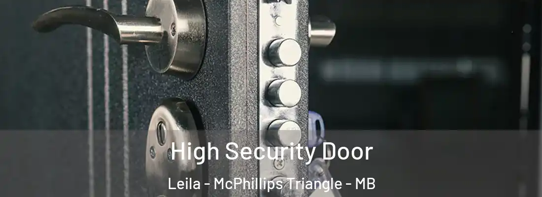  High Security Door Leila - McPhillips Triangle - MB