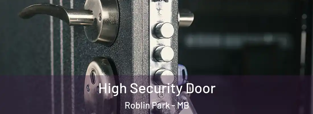  High Security Door Roblin Park - MB
