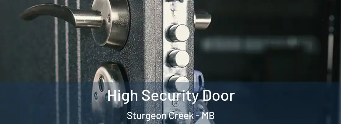  High Security Door Sturgeon Creek - MB